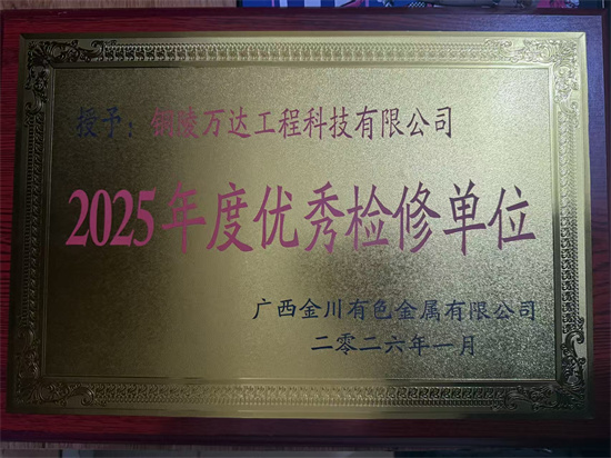 2025年度優(yōu)秀檢修單位